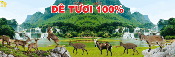 Market Núi rừng Dê Tươi 100% file CorelDRAW