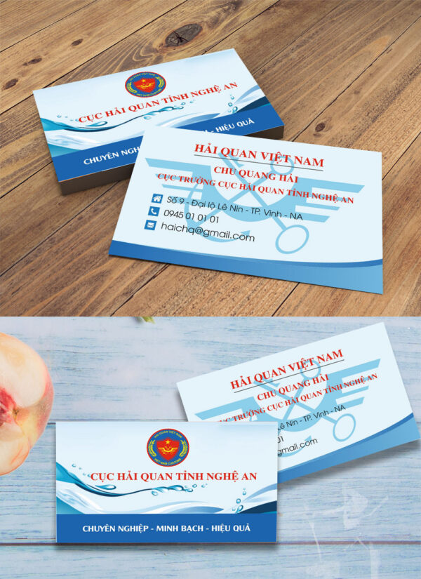 Mẫu danh thiếp name card đẹp file corel 14