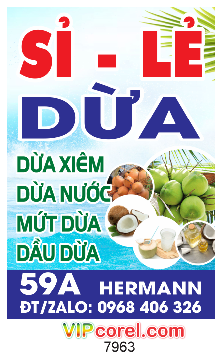 Biển vẫy sỉ lẻ Dừa xiêm - dừa nước - mứt dừa - dầu dừa