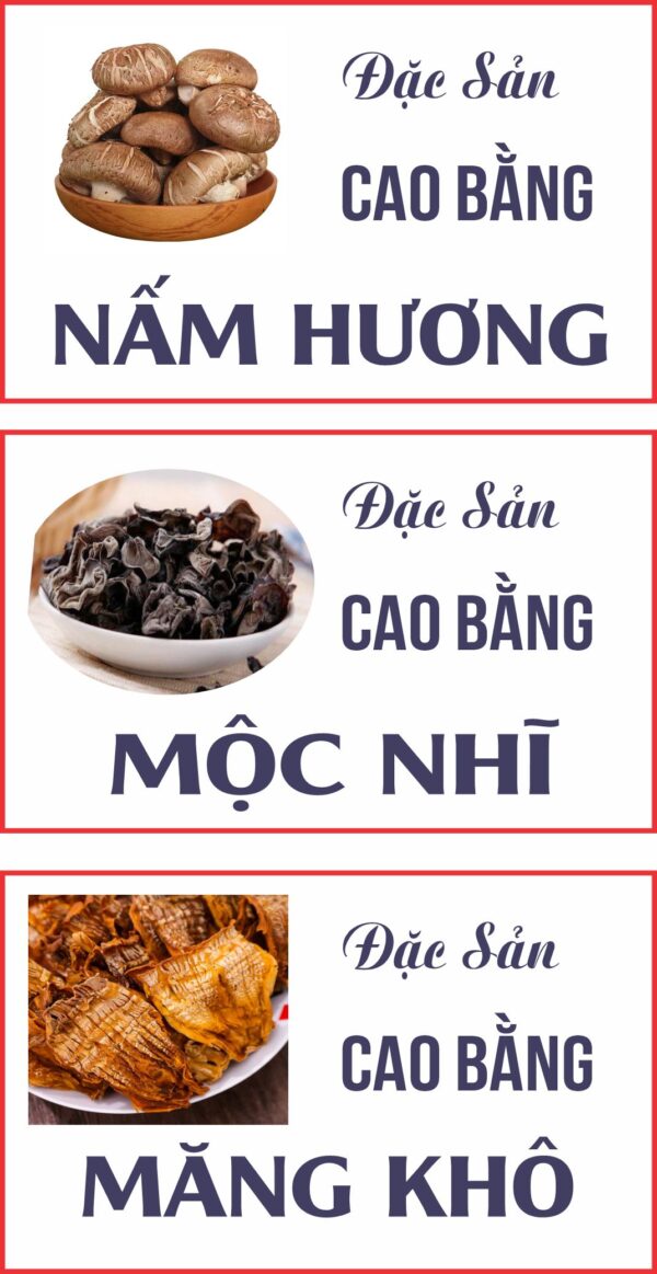 tem nấm hưỡng, mộc nhĩ, măng khô